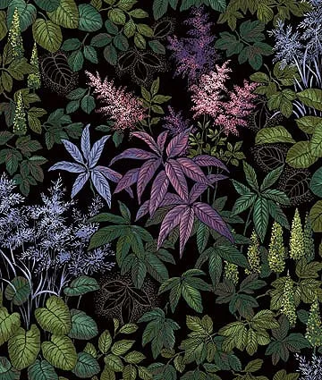 Cannabis background